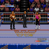 WWF Rage in the Cage